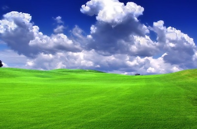 prato sempre verde
