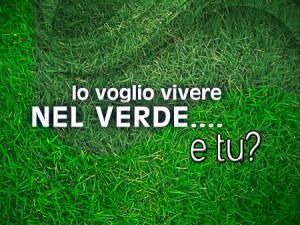 prato verde