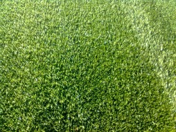 Stadiomedie