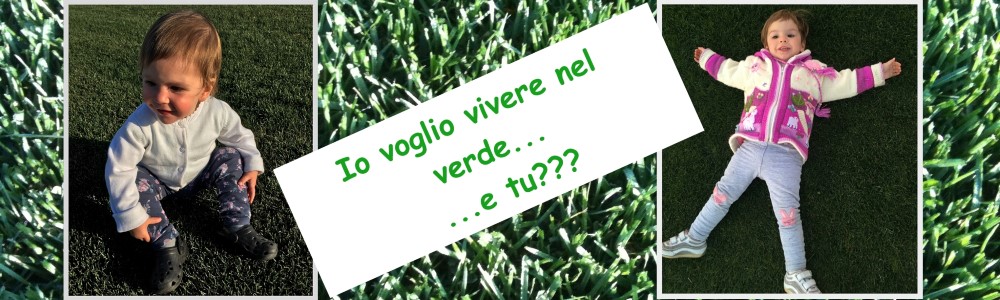 tappeti erbosi - prato pronto - prato a zolle - prato a rotoli